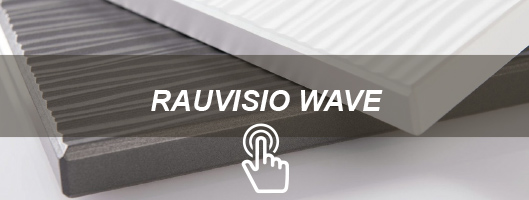 RAUVISIO WAVE.jpg